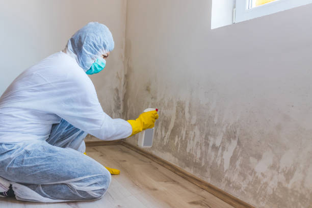 Licensed Mold Remediation service in Julian, PA - WQB Mold Removal
