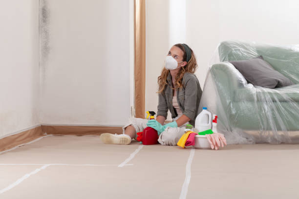 Reliable Mold Remediation contractor in Julian, PA by WQB Mold Removal